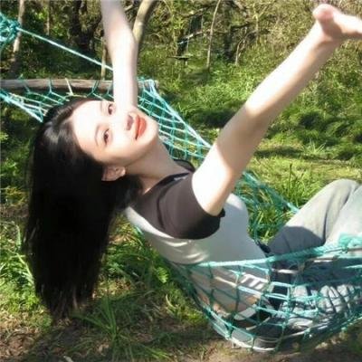 禁宫龙虎斗